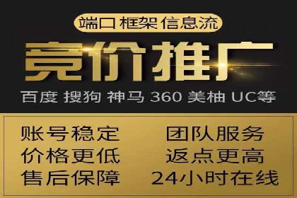 SEM广告投放案例：提升网站流量与转化