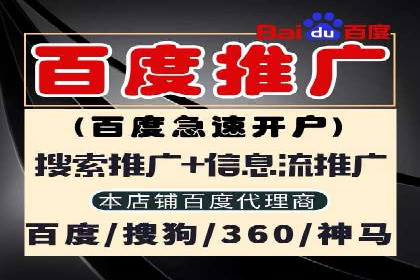 某sem代运营公司：打造品牌营销新模式